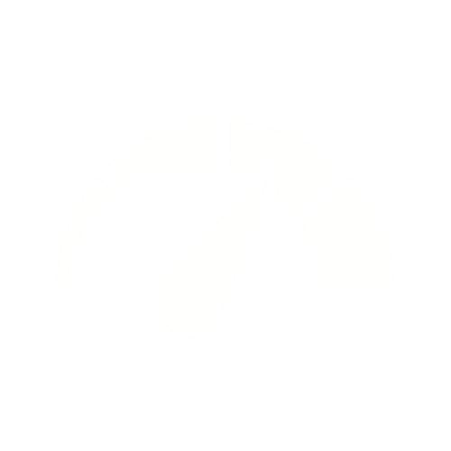 Velocidad
